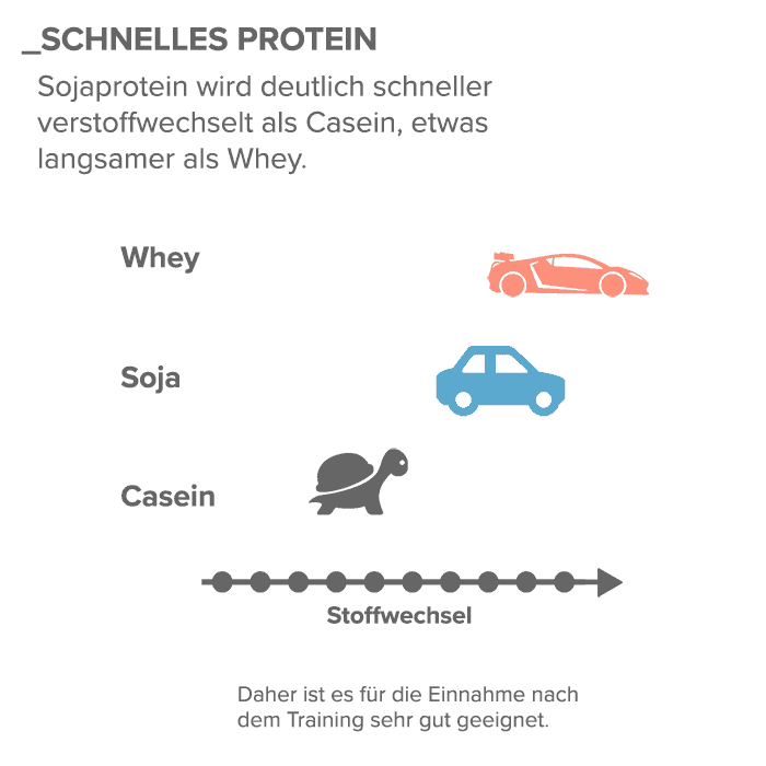 04_Schnelles-Protein