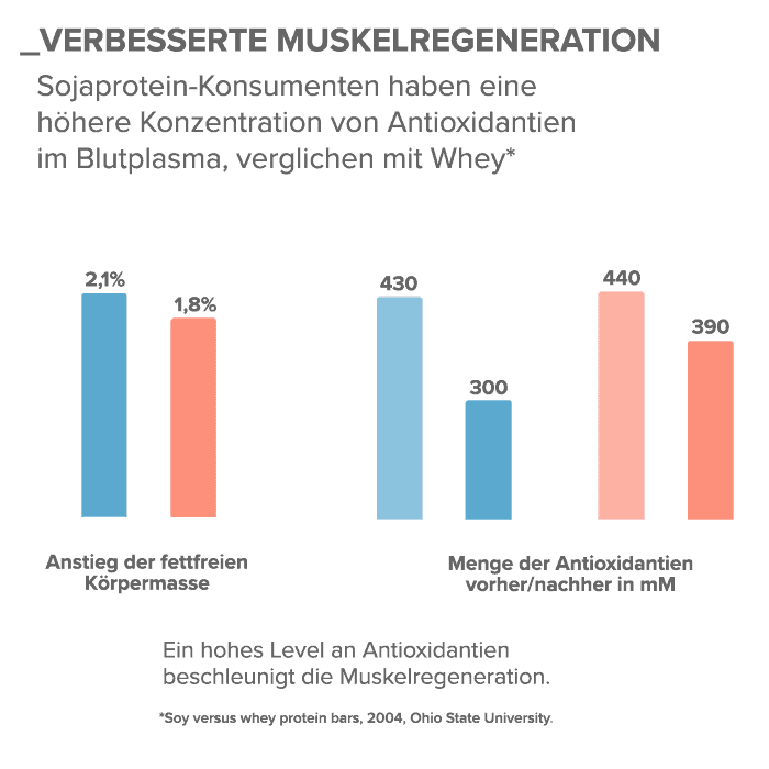 06_Verbesserte-Muskelregeneration