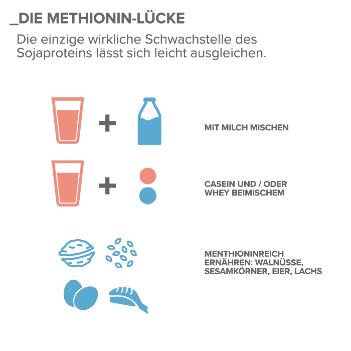 07_Die-Methionin-Luecke