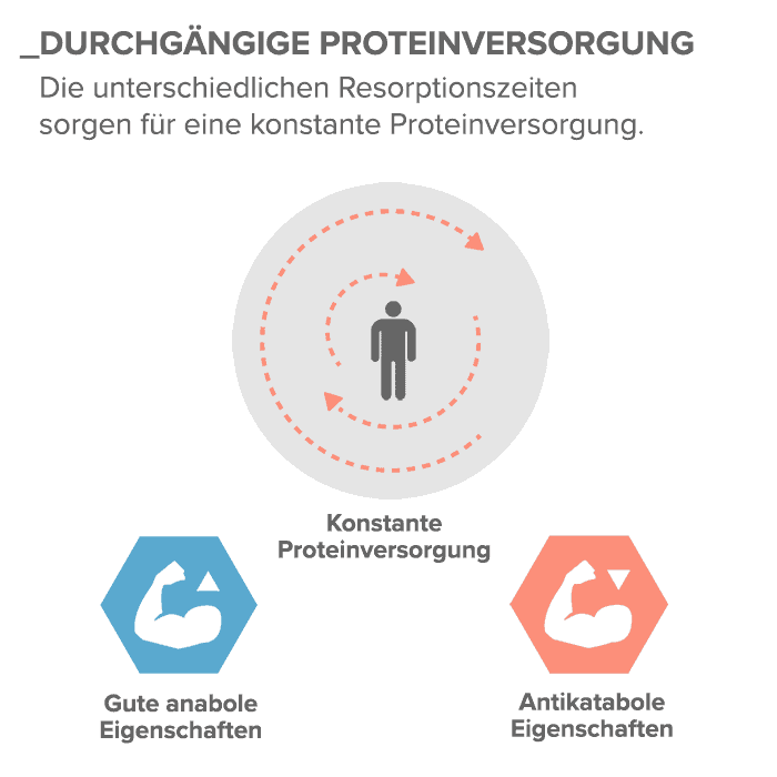 04_Durchgaengige-Proteinversorgung