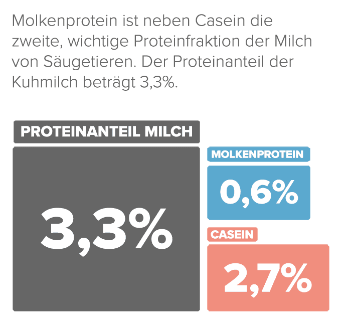 01_Was ist Whey Protein