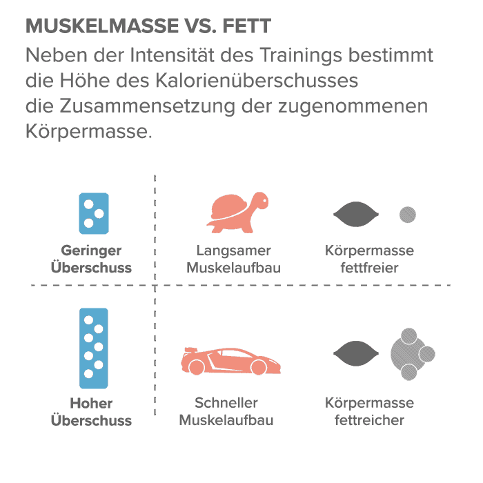 Muskelmasse vs. Fett