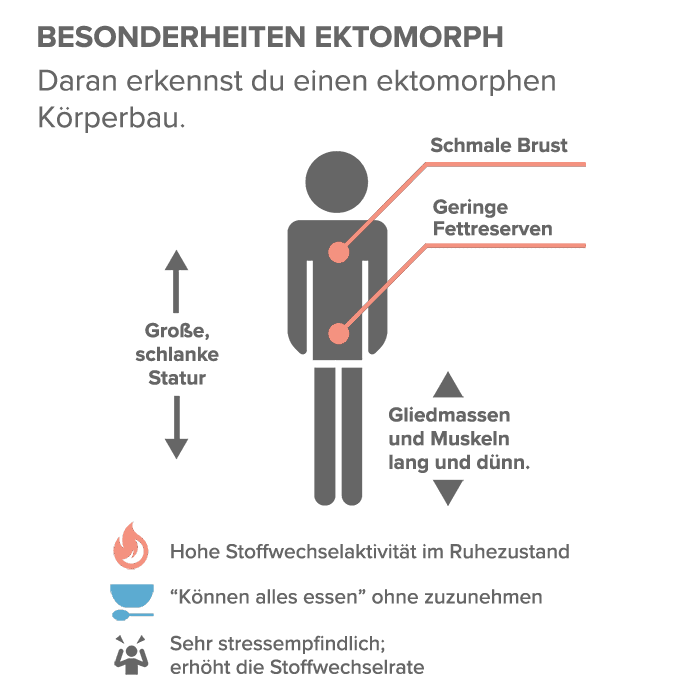 Besonderheiten Ektomorph