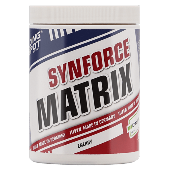 Bodybuilding Depot Synforce Matrix