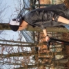 TScene